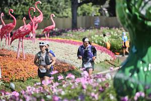 BIB: 
                            <button type="button" onclick="openModal(27793135)" class="btn btn-primary btn-sm float-right btn-popup" data-toggle="modal" data-target=".modal-high-quality">
                        <i class="fas fa-shopping-cart"></i> Add to Cart
                    </button>
                                            <button type="button" onclick="isThisMe(27793135, true)" class="btn btn-success btn-sm float-right btn-popup btn-isme hidden" data-toggle="tooltip" data-placement="bottom" title="นี่คือรูปของคุณใช่ไหม คลิกที่นี่เพื่อเอาเข้าอัลบั้ม">
                        <i class="fas fa-plus"></i> Add to album
                    </button>
                    <button type="button" onclick="isThisMe(27793135, false)" class="btn btn-warning btn-sm float-right btn-popup btn-isnotme hidden">
                        <i class="fas fa-ban"></i> Remove from album
                    </button>